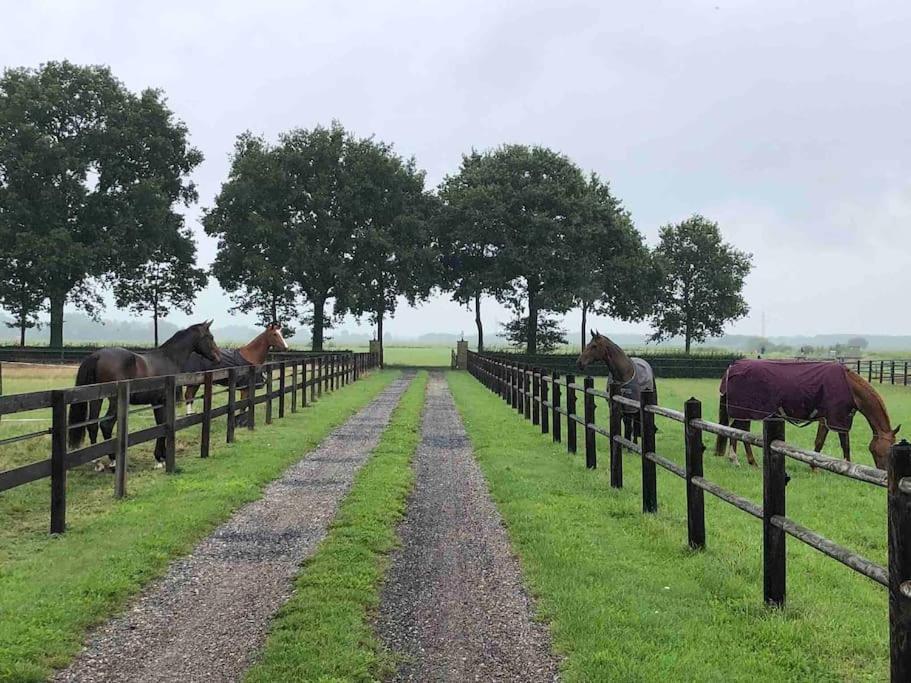 Linderhuisje, Rust, Ruimte, Privacy En Natuur Exterior foto
